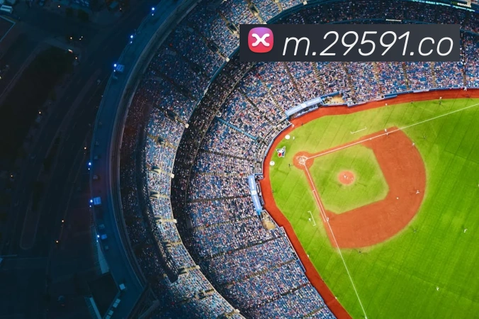 8868体育APP 封面图